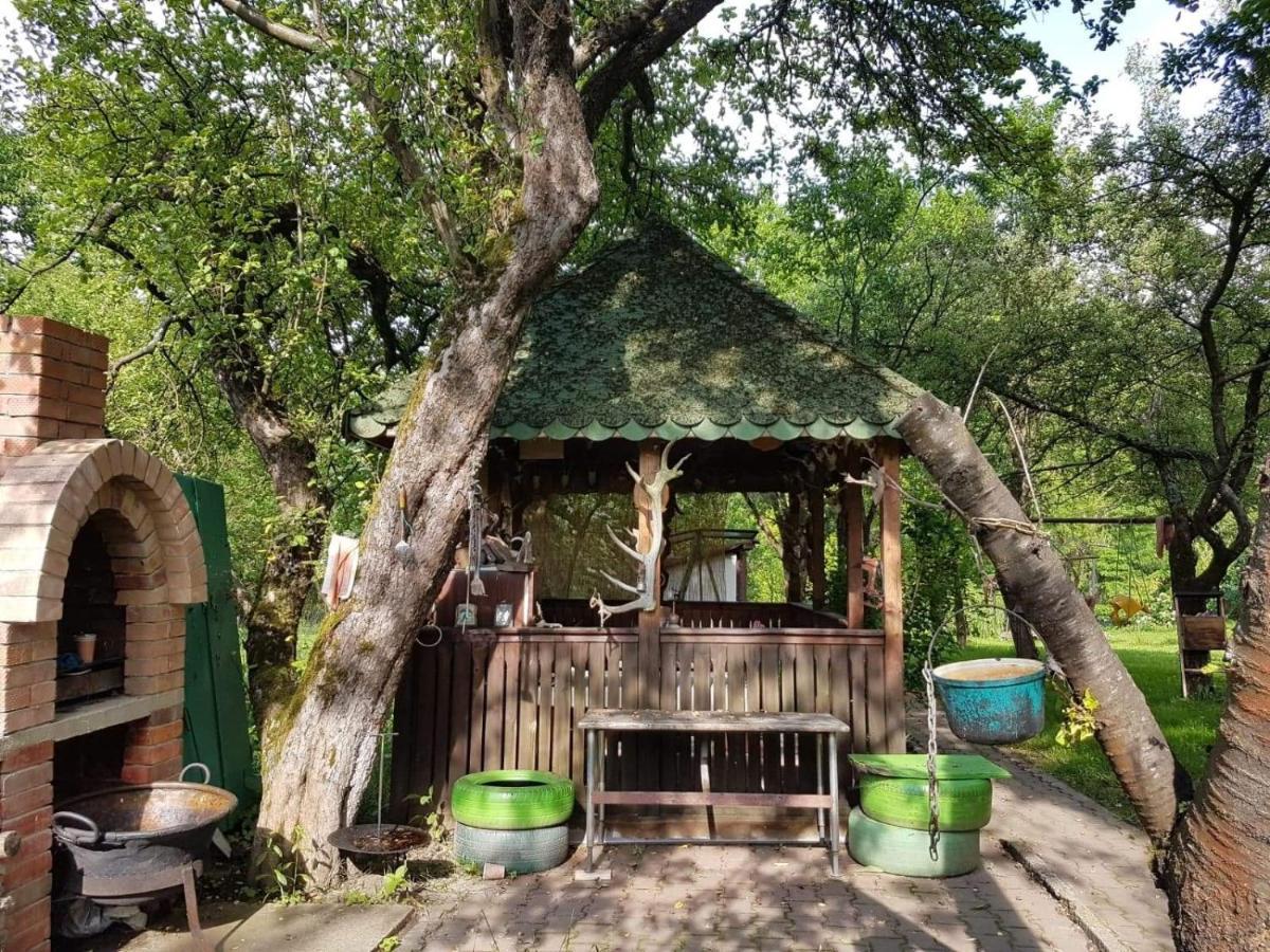 Cazare La Oana Хацег Экстерьер фото